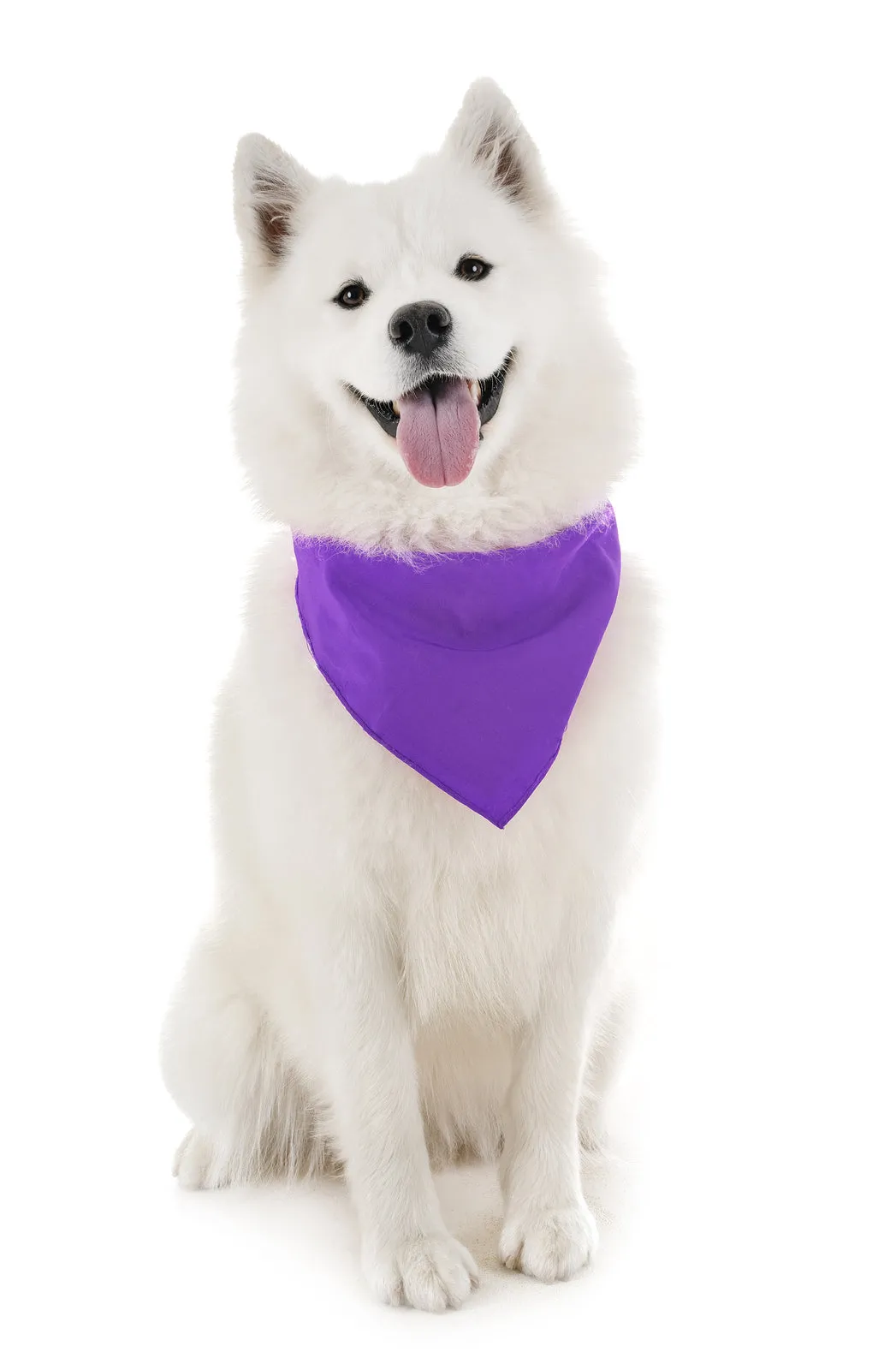 18 Pack Regular Size Polyester Dog Bandanas Solid Colors