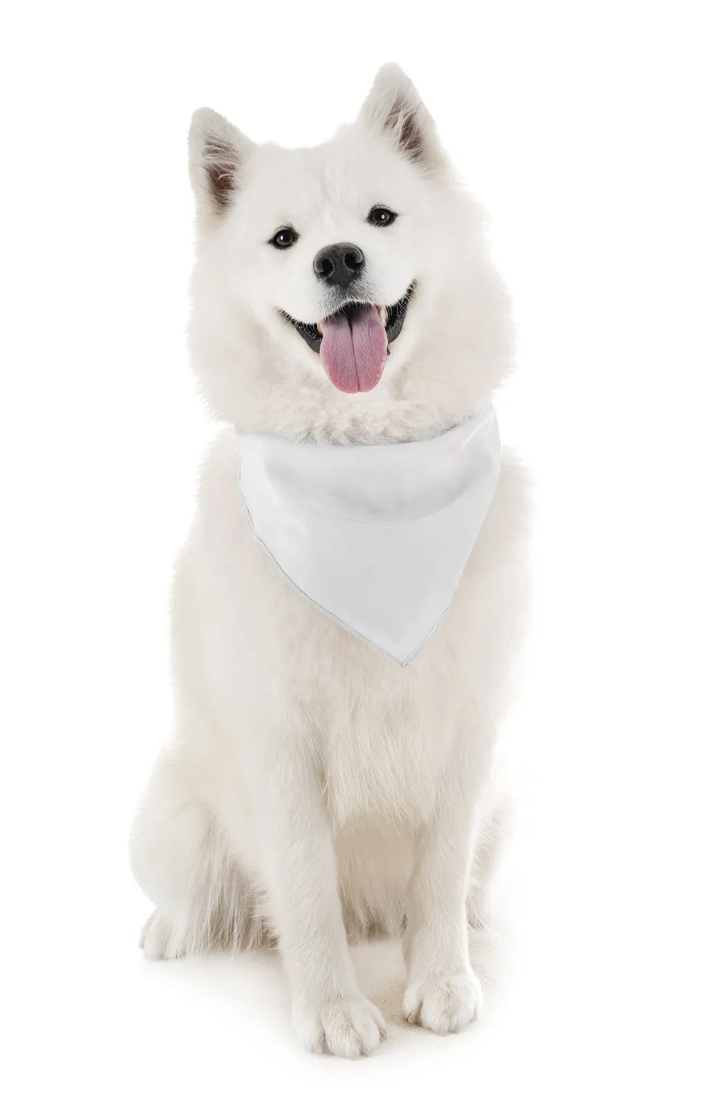 18 Pack Regular Size Polyester Dog Bandanas Solid Colors