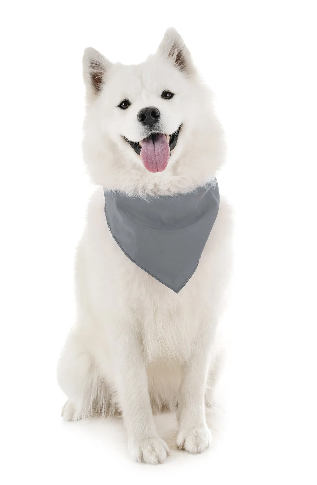 18 Pack Regular Size Polyester Dog Bandanas Solid Colors