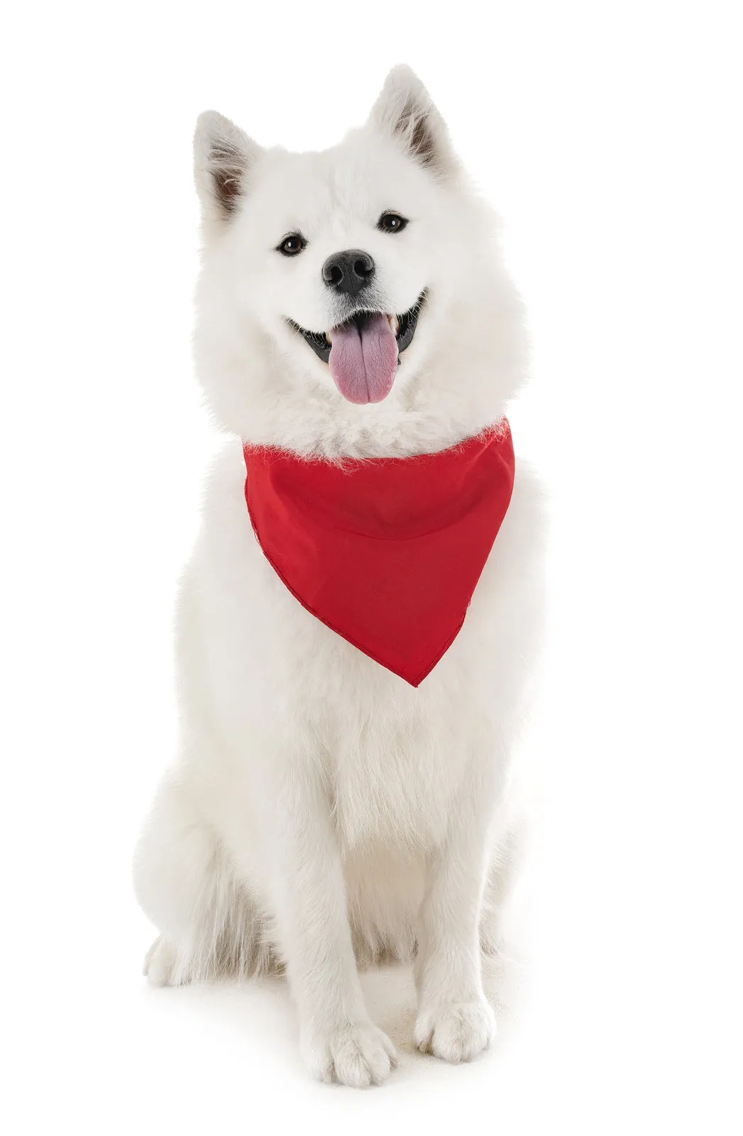 18 Pack Regular Size Polyester Dog Bandanas Solid Colors