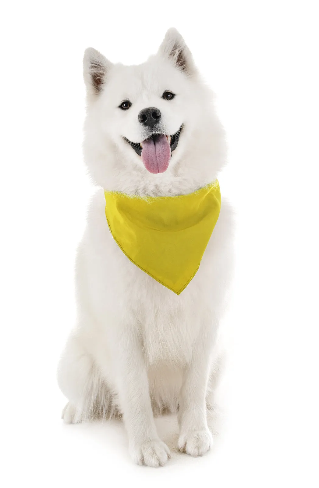 18 Pack Regular Size Polyester Dog Bandanas Solid Colors