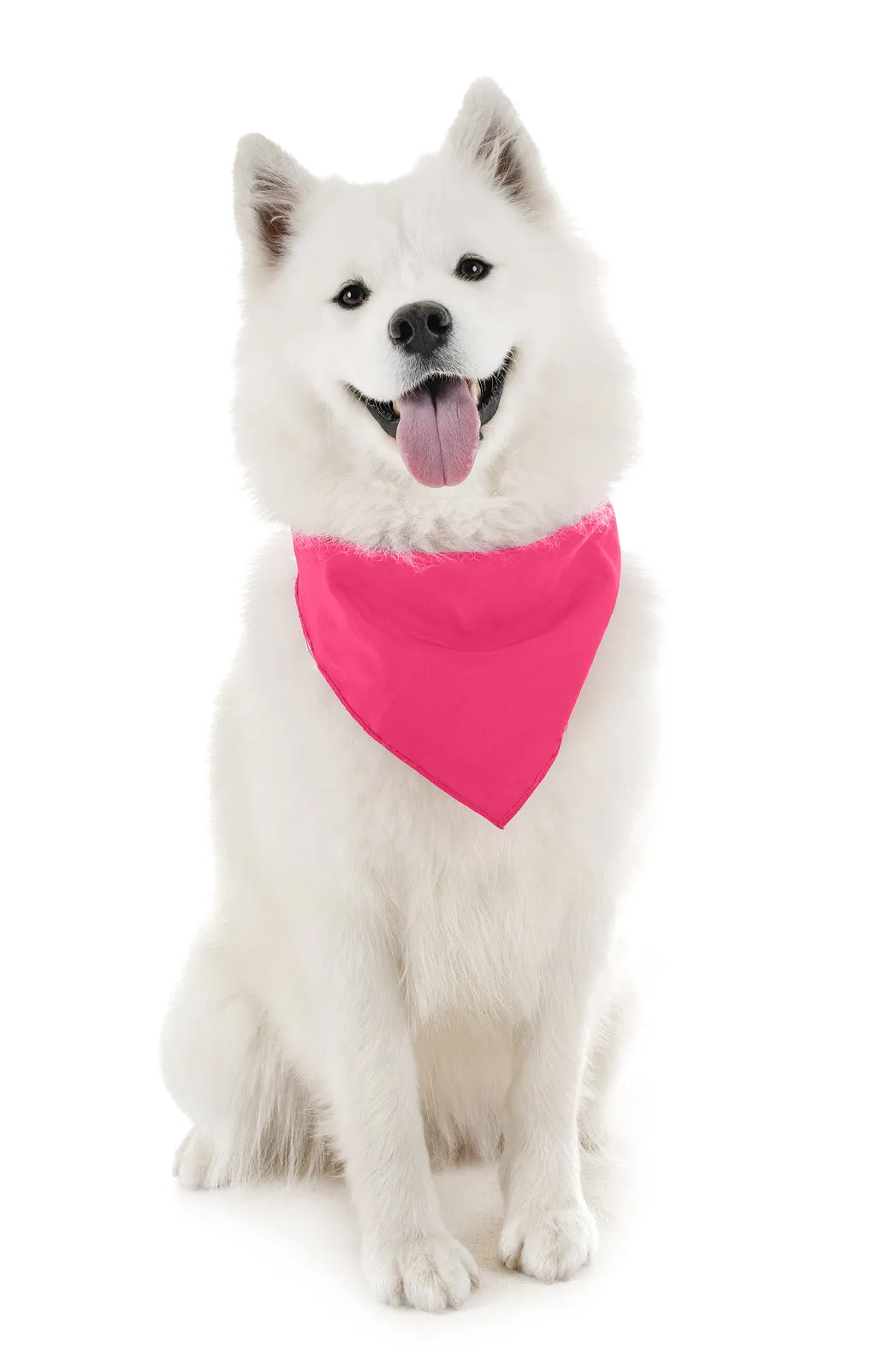18 Pack Regular Size Polyester Dog Bandanas Solid Colors