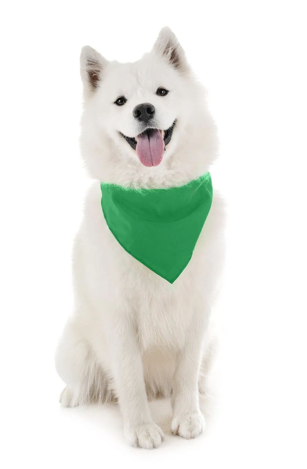 18 Pack Regular Size Polyester Dog Bandanas Solid Colors
