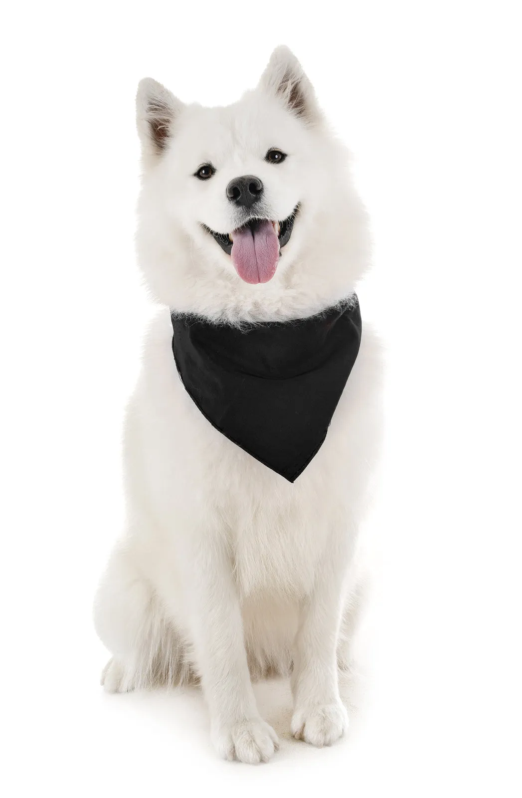 18 Pack Regular Size Polyester Dog Bandanas Solid Colors