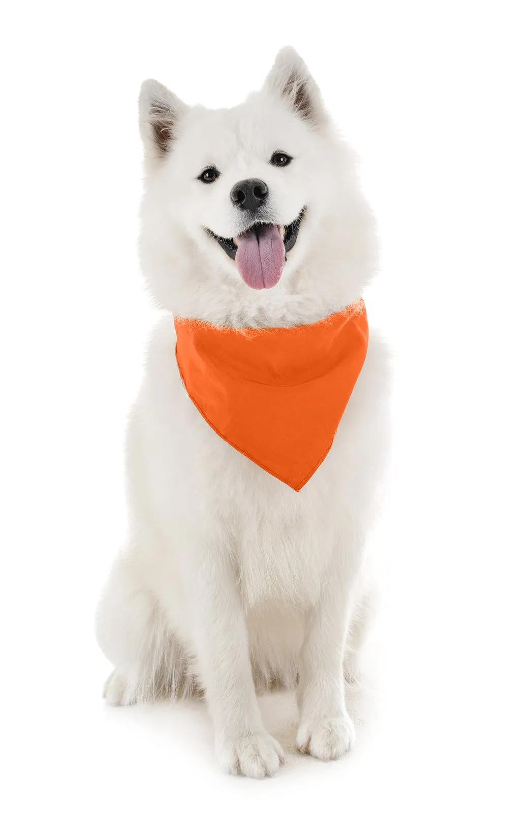 18 Pack Regular Size Polyester Dog Bandanas Solid Colors