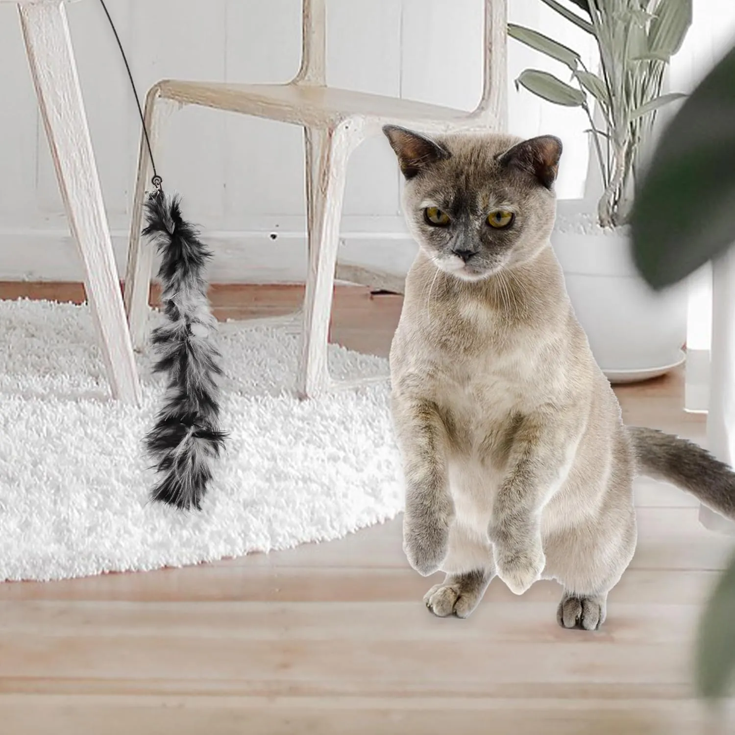 2 Pcs Feather Cat Wand Replacement for Pet Interactive, Cat Wand Refill Attachments for Indoor and Outdoor Cats, Gray Black