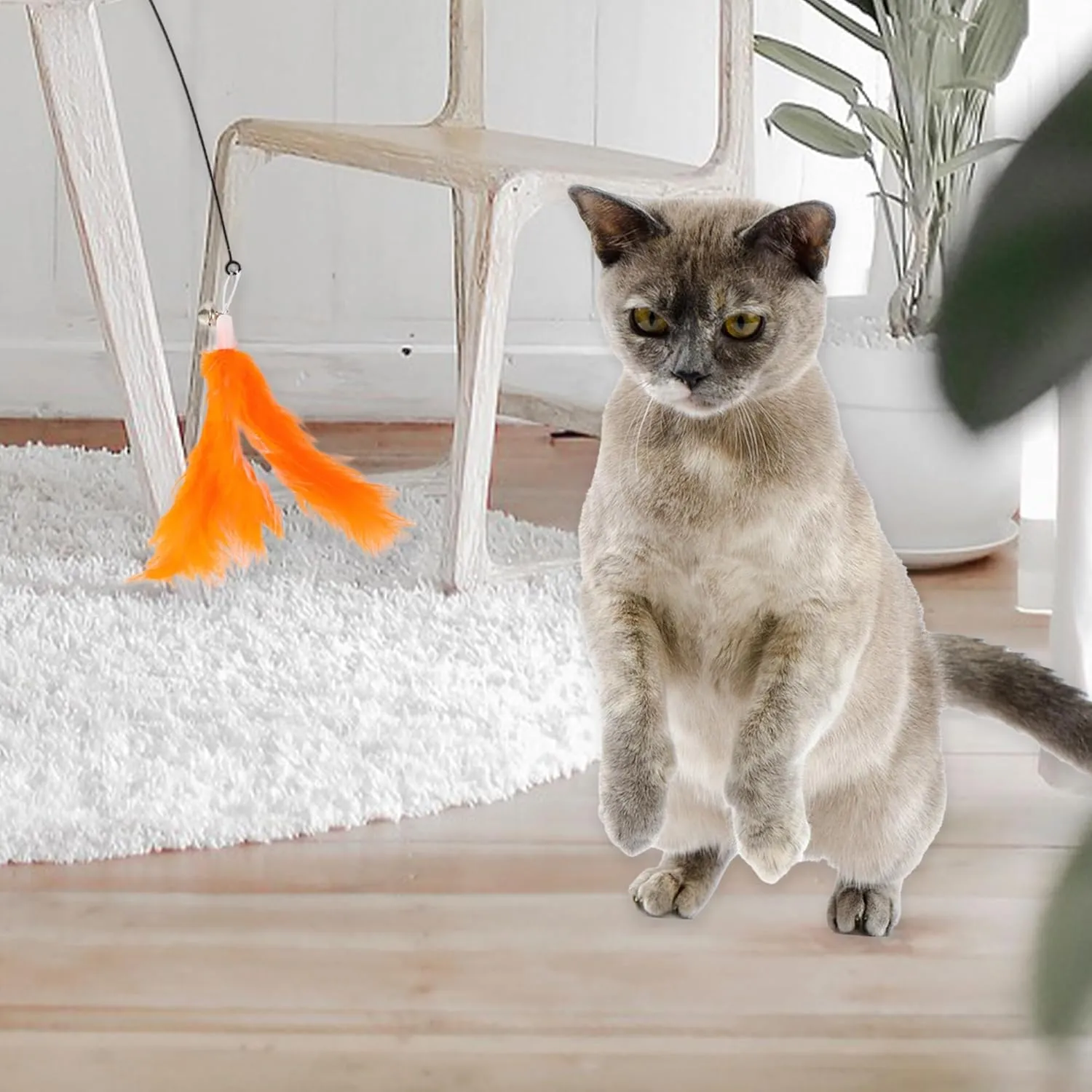 2 Pcs Feather Cat Wand Replacement for Pet Interactive, Cat Wand Refill Attachments for Indoor and Outdoor Cats, Orange White