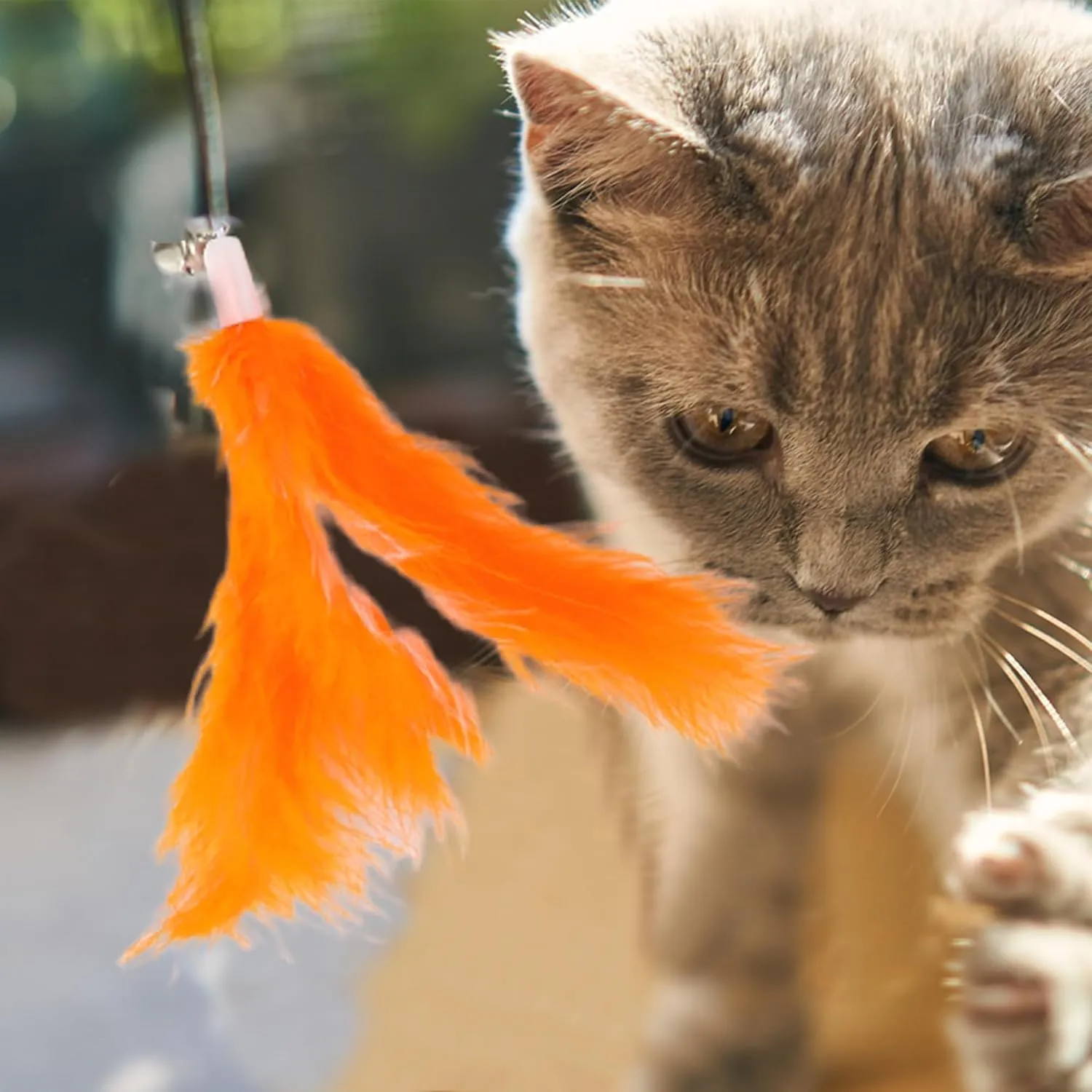 2 Pcs Feather Cat Wand Replacement for Pet Interactive, Cat Wand Refill Attachments for Indoor and Outdoor Cats, Orange White
