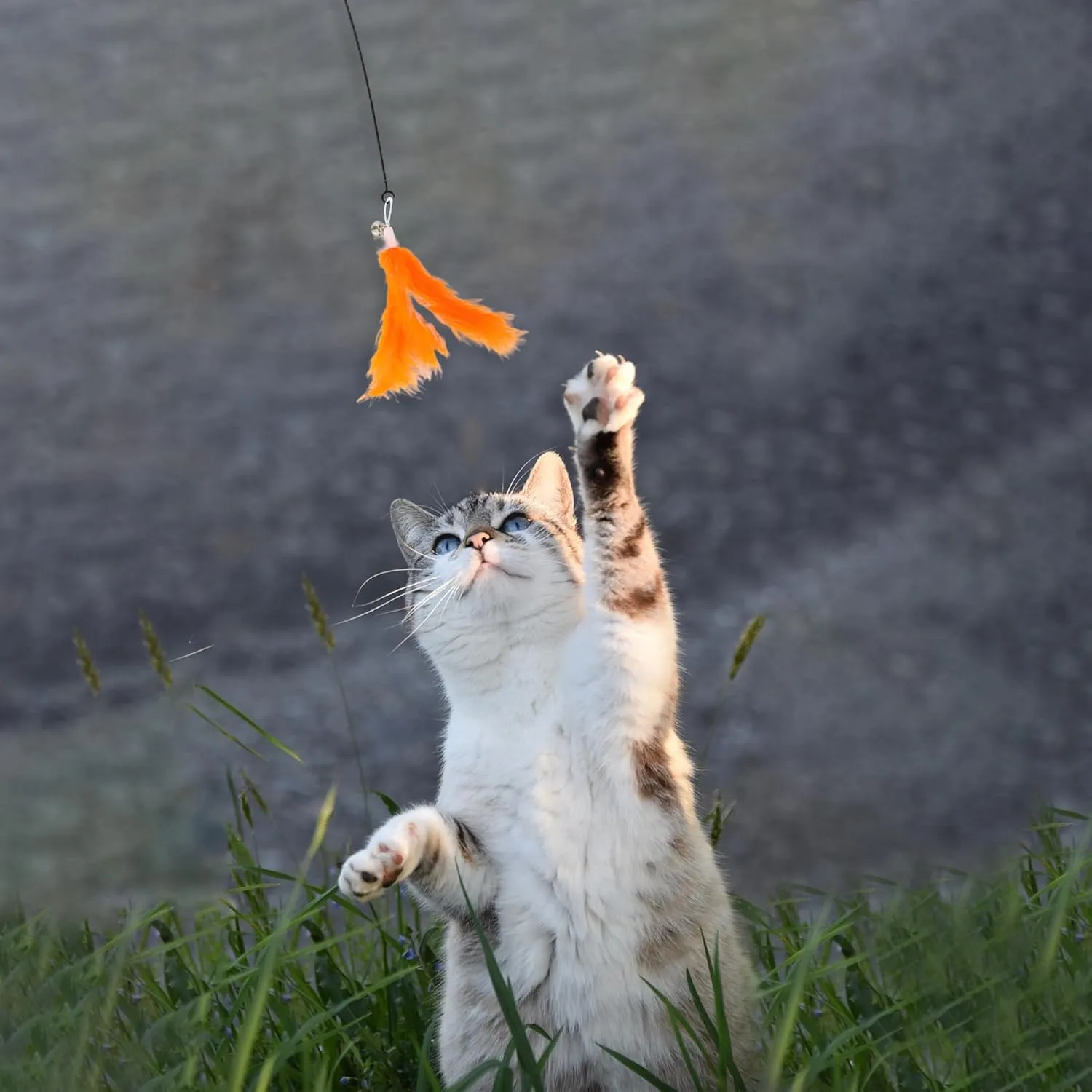 2 Pcs Feather Cat Wand Replacement for Pet Interactive, Cat Wand Refill Attachments for Indoor and Outdoor Cats, Orange White