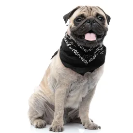 30 Pack Cotton Paisley Regular Size Dog Bandanas