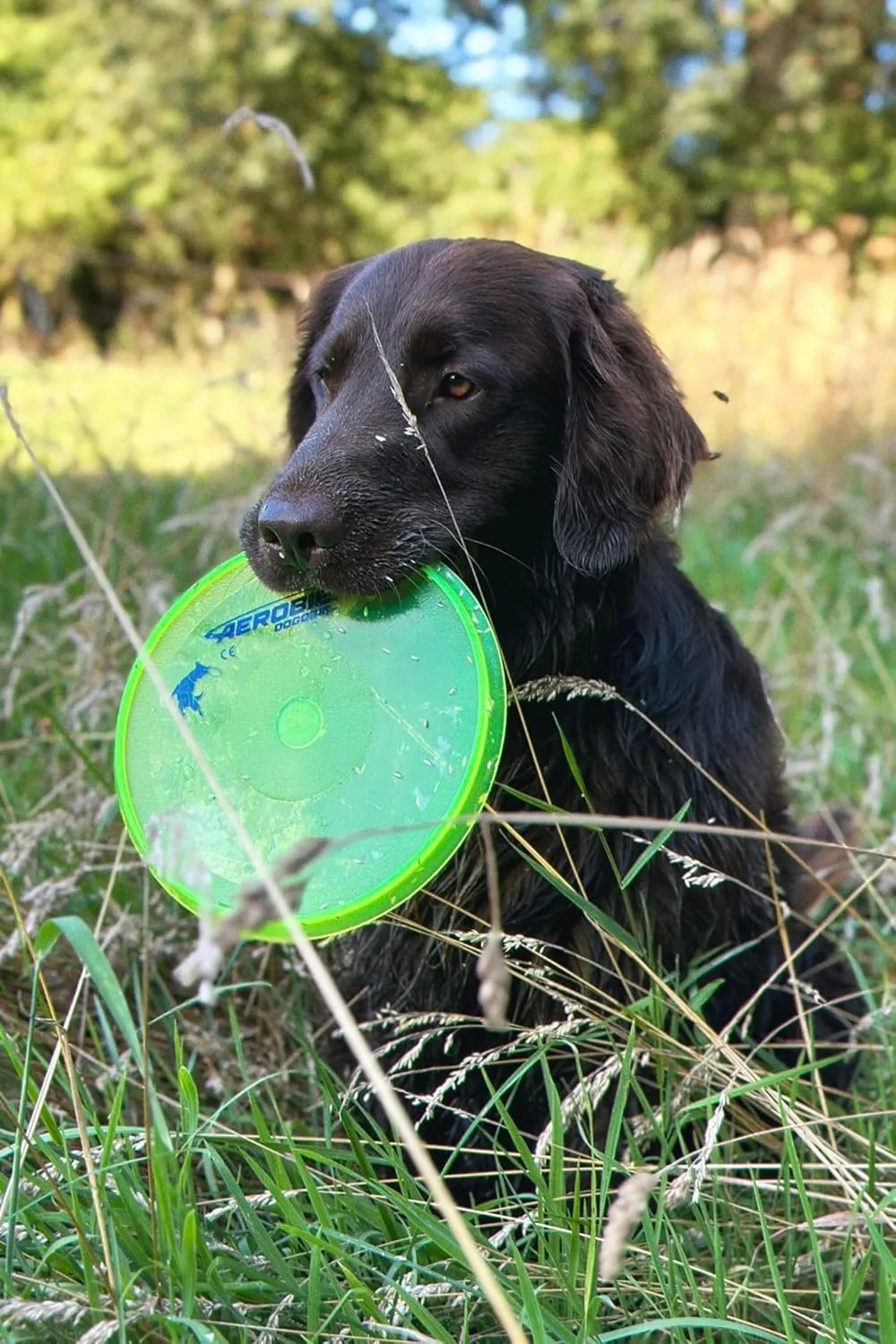 Aerobie Dogobie Disc Outdoor Flying Disc for Dogs - Colors May Vary