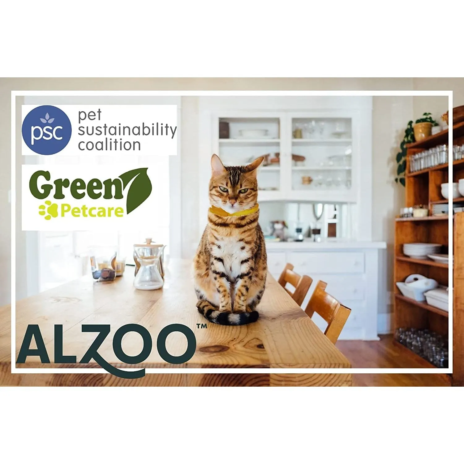 ALZOO Natural Flea & Tick Collar for Cats