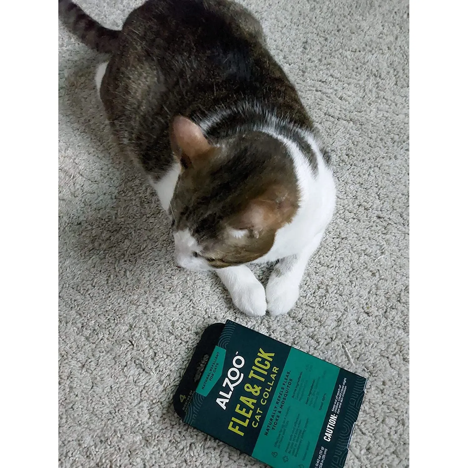 ALZOO Natural Flea & Tick Collar for Cats
