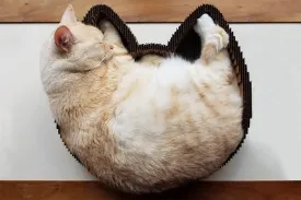 Cat Scratcher Bed