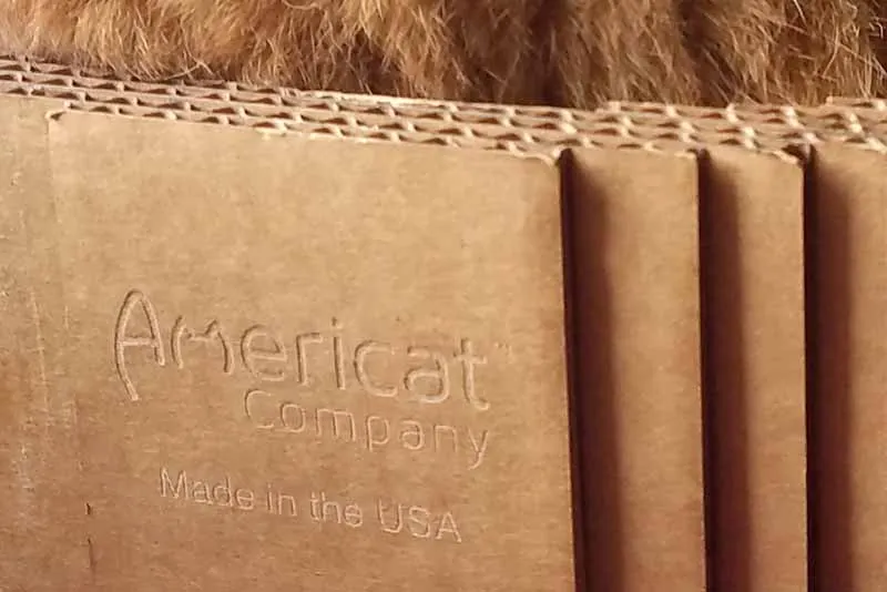 Cat Scratcher Bed