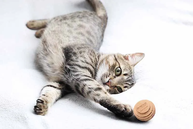 Cat Toy Balls – Round Pack