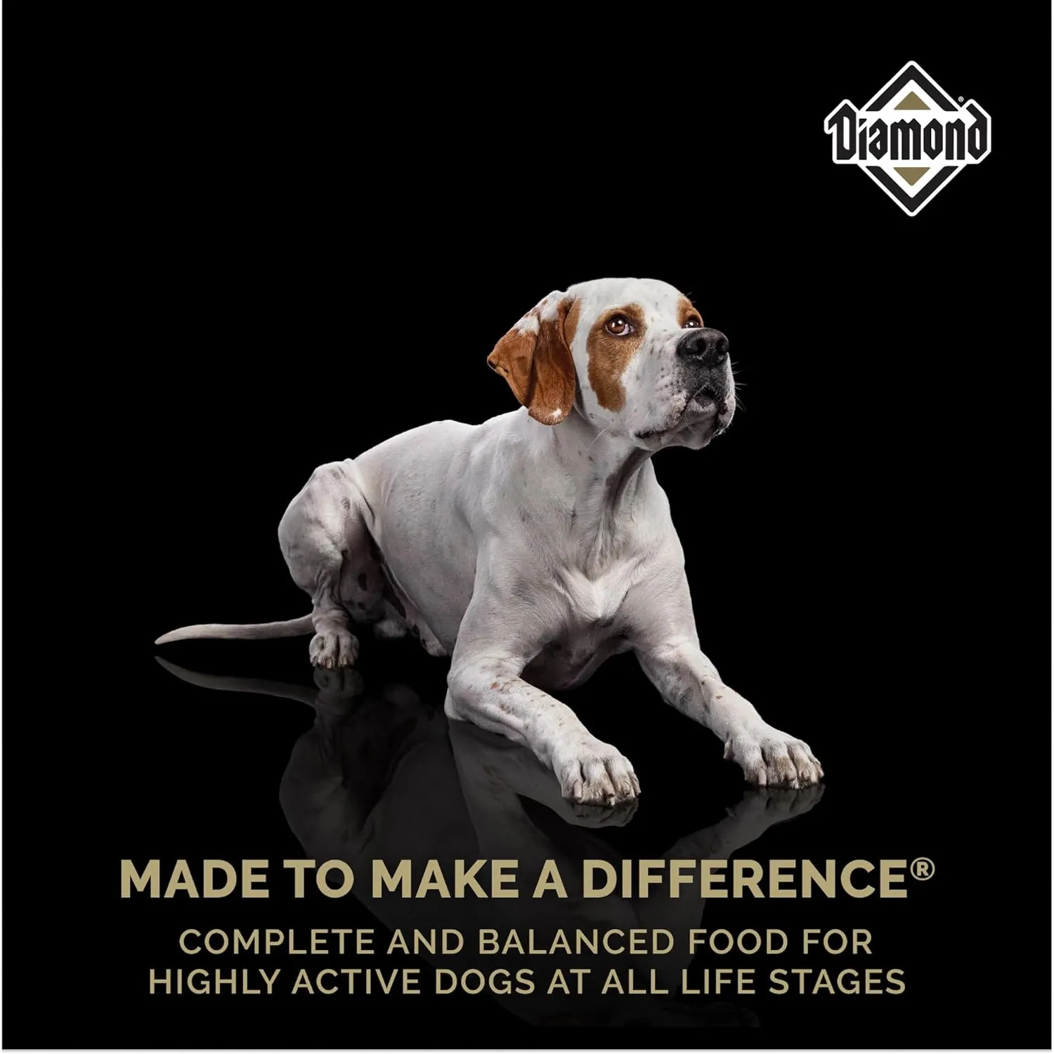 Diamond Performance Recipe with Meat First, High Protein, Grains and No Peas, Lentils, Chickpeas, Potatoes, or Sweet Potatoes