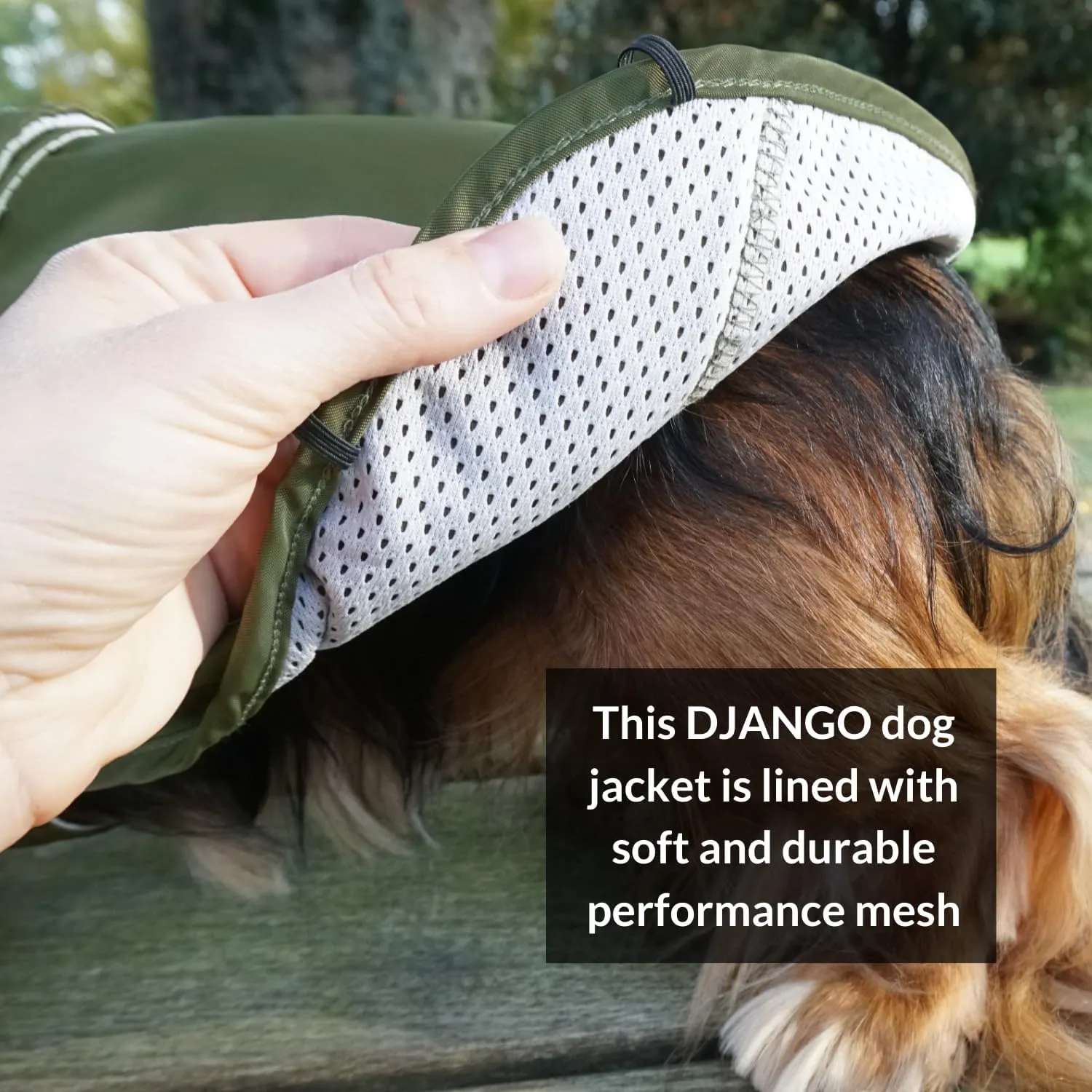 DJANGO City Slicker Waterproof Dog Raincoat and Lightweight Jacket for Long Dogs - Full Coverage Puppy Coat and Reflective Rain Slicker and Windbreaker - Adjustable with Harness Hole (Kombu, Large)