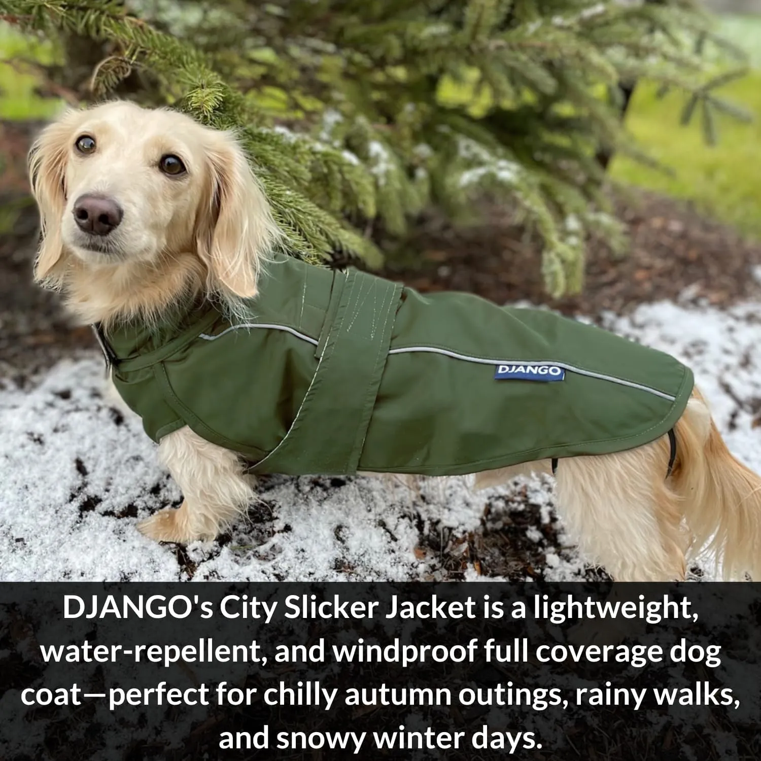 DJANGO City Slicker Waterproof Dog Raincoat and Lightweight Jacket for Long Dogs - Full Coverage Puppy Coat and Reflective Rain Slicker and Windbreaker - Adjustable with Harness Hole (Kombu, Large)