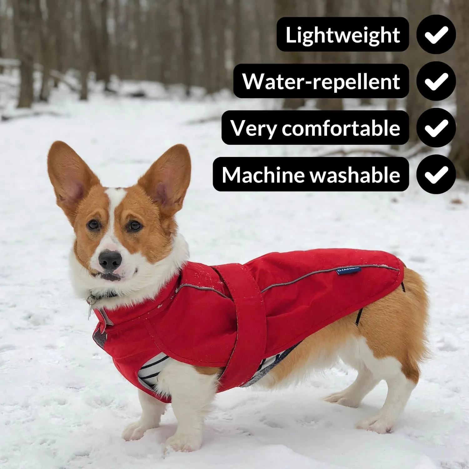 DJANGO City Slicker Waterproof Dog Raincoat and Lightweight Jacket for Long Dogs - Full Coverage Puppy Coat and Reflective Rain Slicker and Windbreaker - Adjustable with Harness Hole (Kombu, Large)