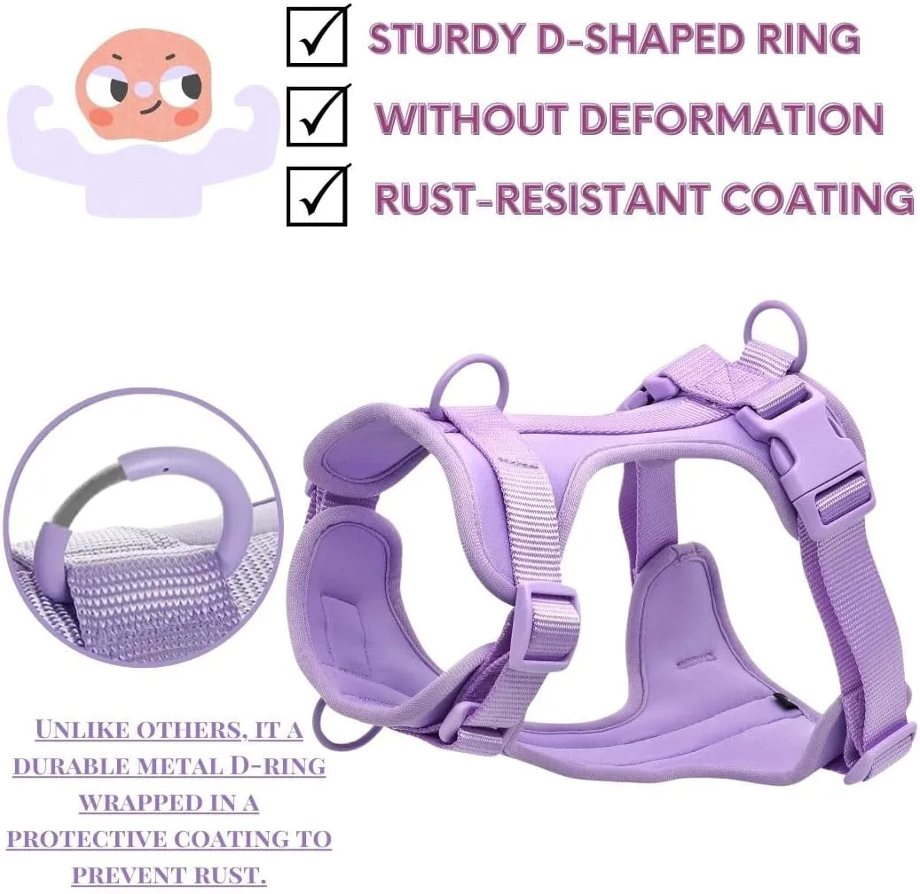 Dog Harness, No-Pull Pet Harness with 3 Leash Clips, Adjustable Soft Padded Dog Vest, Breathable Mesh Cushion for Small Medium Large Dogs (Purple, Small (Neck:12"-16" Chest 16"-20"))