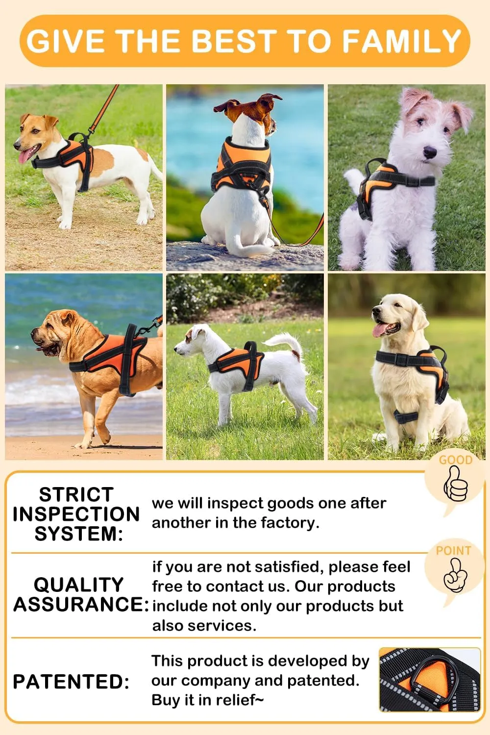 Dog Harness,Pet Vest Name Plate Pocket,No Choke,Reflective,Adjustable and Padded,for Easy Walking and Training for Small,Medium,Large Dogs(Orange,M)