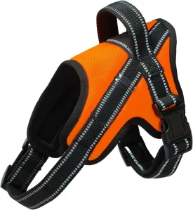 Dog Harness,Pet Vest Name Plate Pocket,No Choke,Reflective,Adjustable and Padded,for Easy Walking and Training for Small,Medium,Large Dogs(Orange,M)