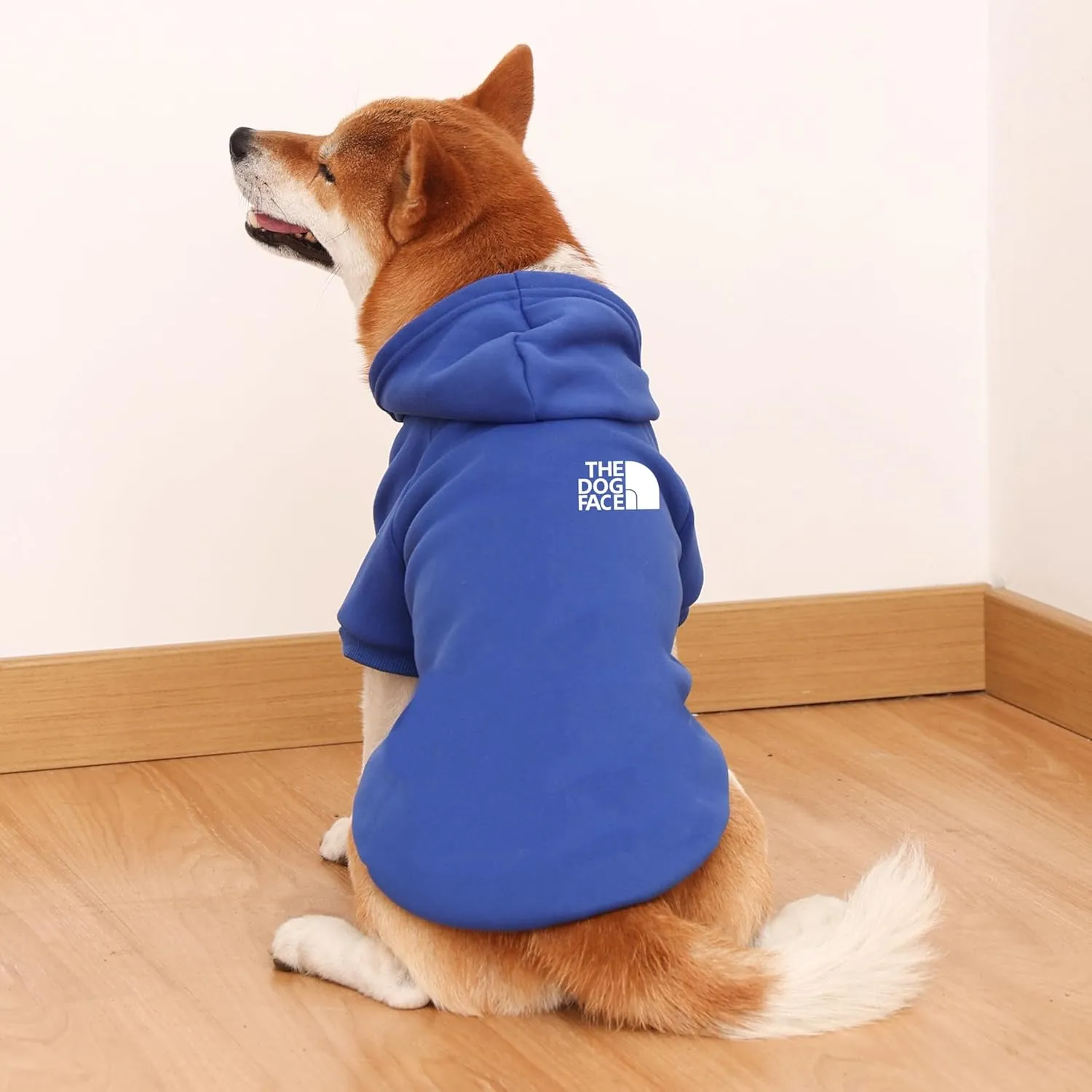 Dog Hoodie - Stylish Outdoor Sports Sweatshirt, Soft and Warm Pet Clothes for Small, Medium and Large Dogs (Blue, Medium)