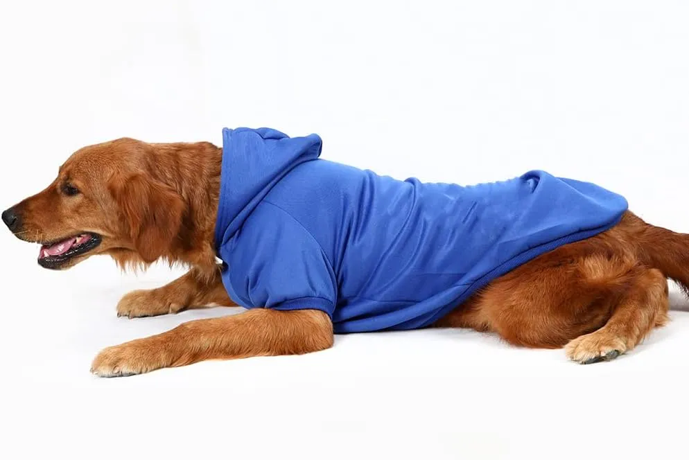 Dog Hoodie - Stylish Outdoor Sports Sweatshirt, Soft and Warm Pet Clothes for Small, Medium and Large Dogs (Blue, Medium)