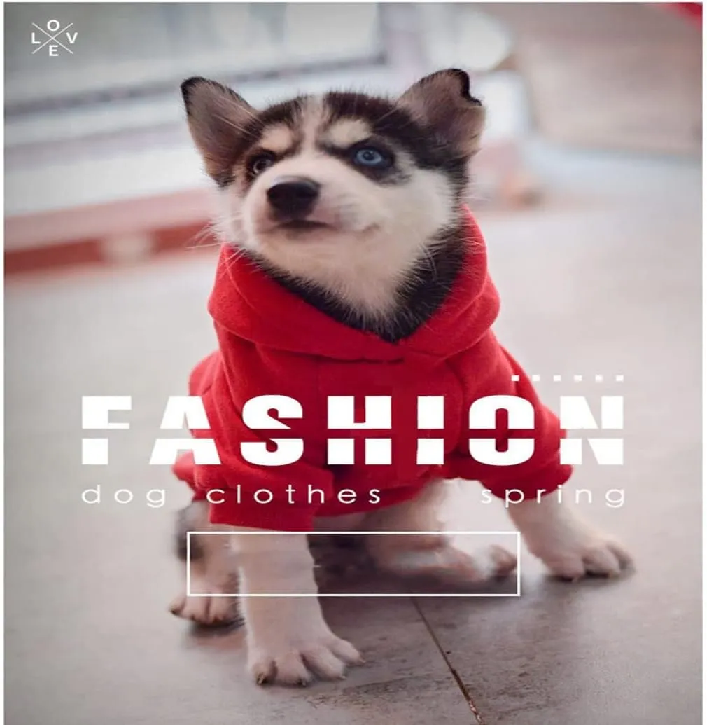 Dog Hoodie - Stylish Outdoor Sports Sweatshirt, Soft and Warm Pet Clothes for Small, Medium and Large Dogs (Red, Medium)