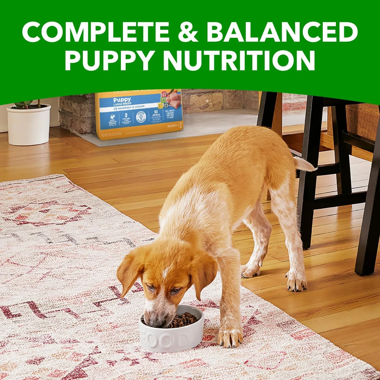 IAMS Proactive Health Smart Puppy Large Breed Dog Food Dry with Real Chicken, 30.6 lb. Bag