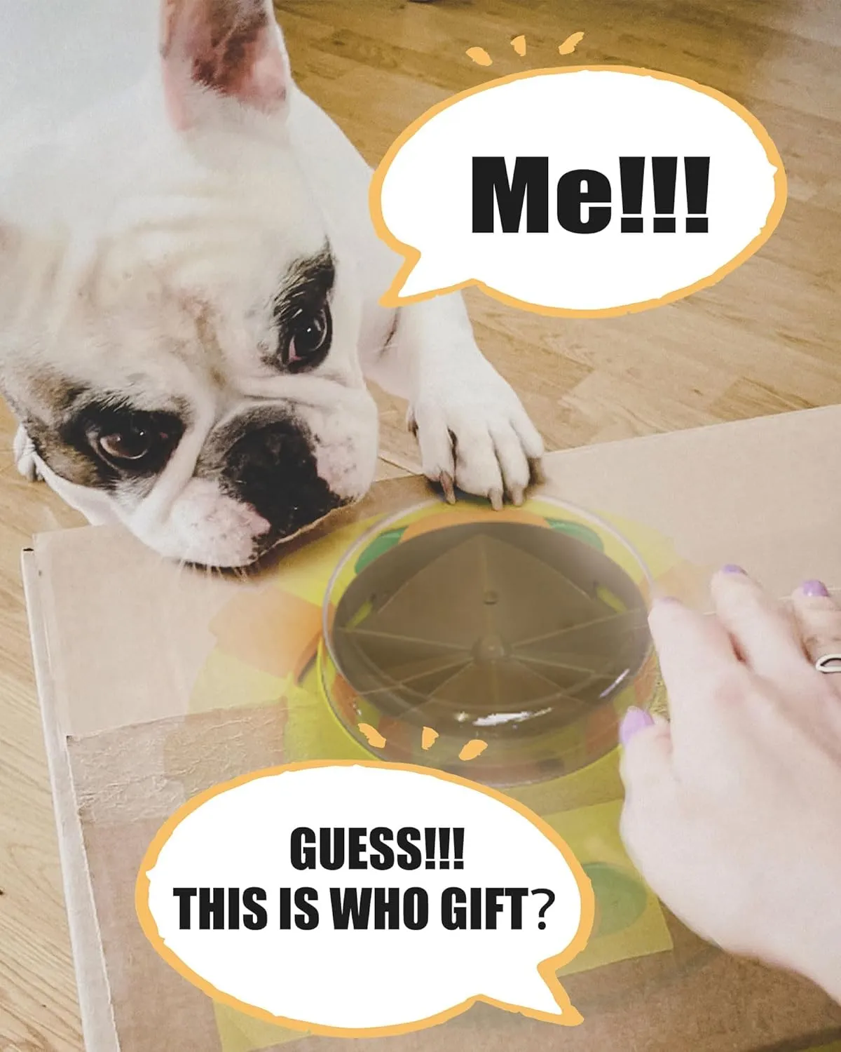 Interactive Dog Food Puzzle Feeder - Stress Relief & Slow Feeding Toy for Mental Stimulation and Activity Increase for Smart Dogs of All Breeds