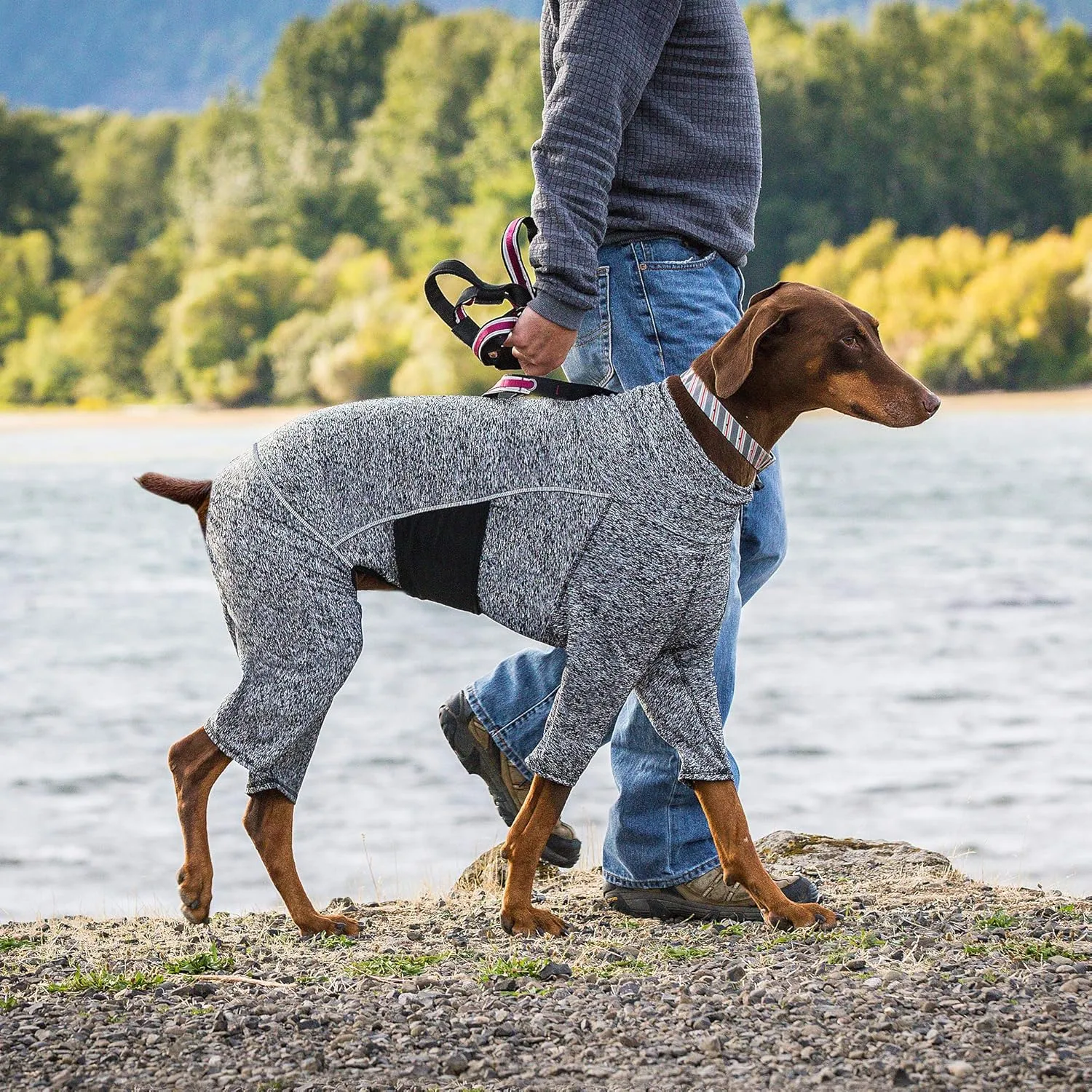Kurgo Dog Onesie Body Warmer, Bodysuit for Dogs, Recovery Suit, Pet Pajamas, Reduce Anxiety, Contains Shedding, Leash Opening, Reflective, Stowe Base Layer, Heather Black/Grey (Medium)