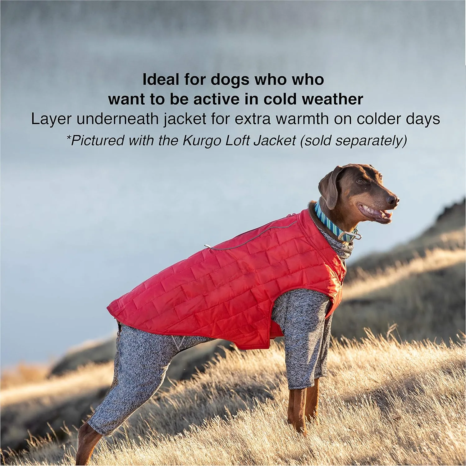 Kurgo Dog Onesie Body Warmer, Bodysuit for Dogs, Recovery Suit, Pet Pajamas, Reduce Anxiety, Contains Shedding, Leash Opening, Reflective, Stowe Base Layer, Heather Black/Grey (Medium)