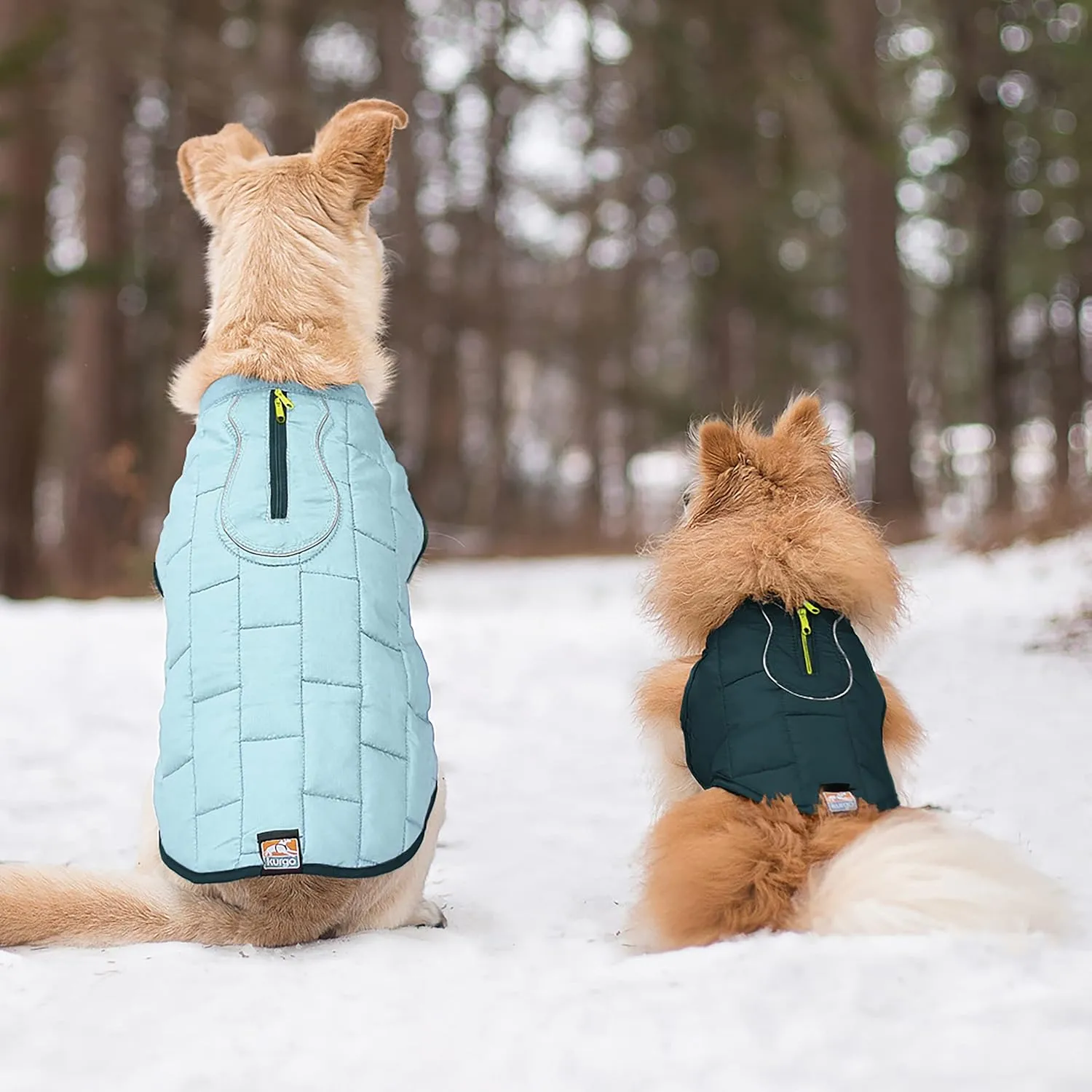 Kurgo Loft Dog Jacket, Reversible Dog Coat, Wear with Harness or Sweater, Water Resistant, Reflective, Winter Coat for Small Dogs (Ink Blue, XS)