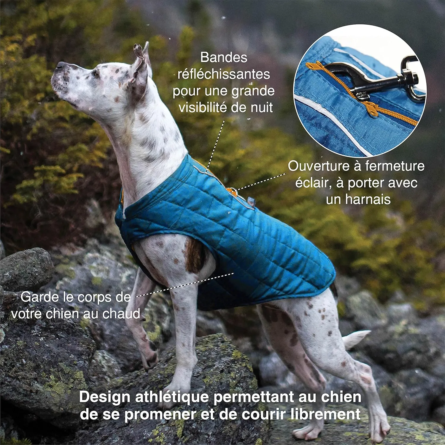 Kurgo Loft Dog Jacket, Reversible Dog Coat, Wear with Harness or Sweater, Water Resistant, Reflective, Winter Coat for Small Dogs (Ink Blue, XS)