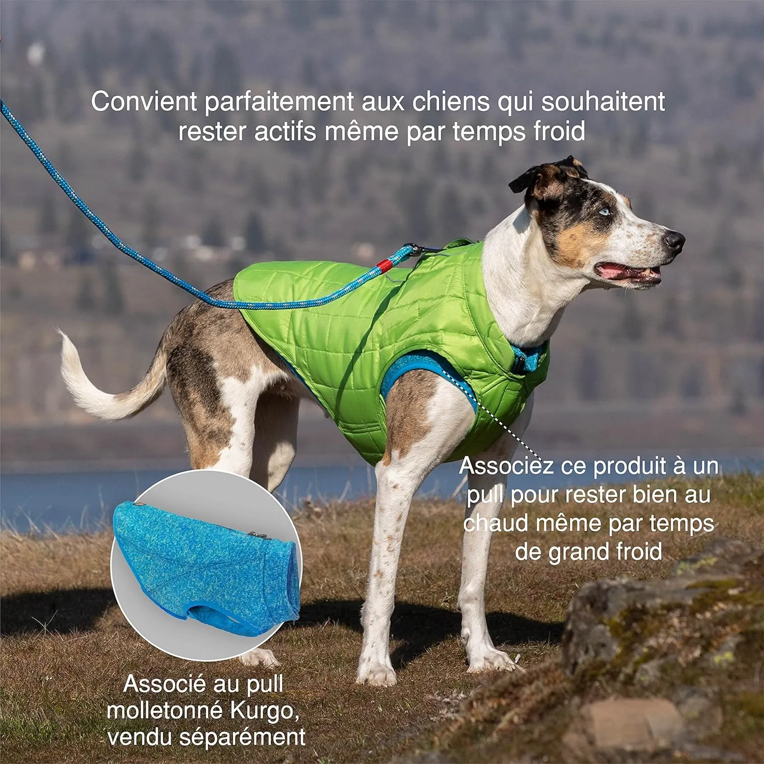 Kurgo Loft Dog Jacket, Reversible Dog Coat, Wear with Harness or Sweater, Water Resistant, Reflective, Winter Coat for Small Dogs (Ink Blue, XS)
