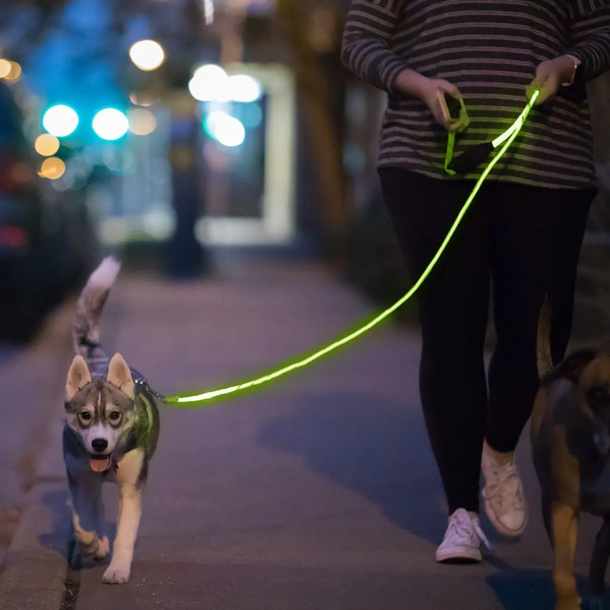 LED Glow in The Dark Pet Dog Leash (Green)