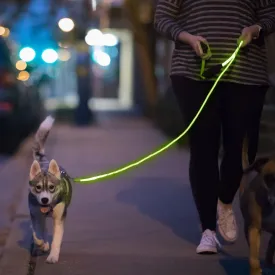 LED Glow in The Dark Pet Dog Leash (Green)