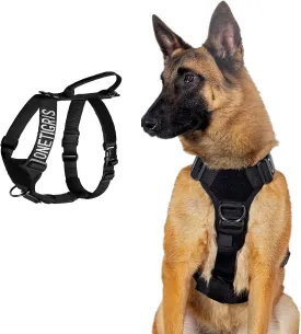 Lightweight No Pull Dog Harness - Perfect for Walking & Hiking with Small to Large Dogs (Black, XL)