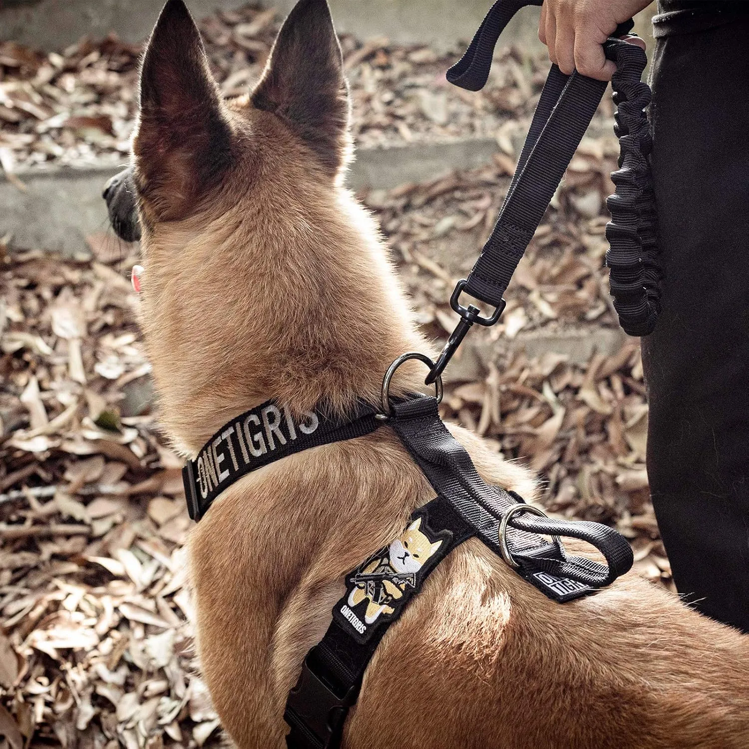 Lightweight No Pull Dog Harness - Perfect for Walking & Hiking with Small to Large Dogs (Black, XL)