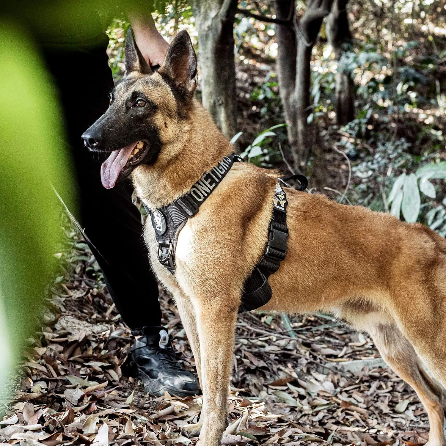 Lightweight No Pull Dog Harness - Perfect for Walking & Hiking with Small to Large Dogs (Black, XL)