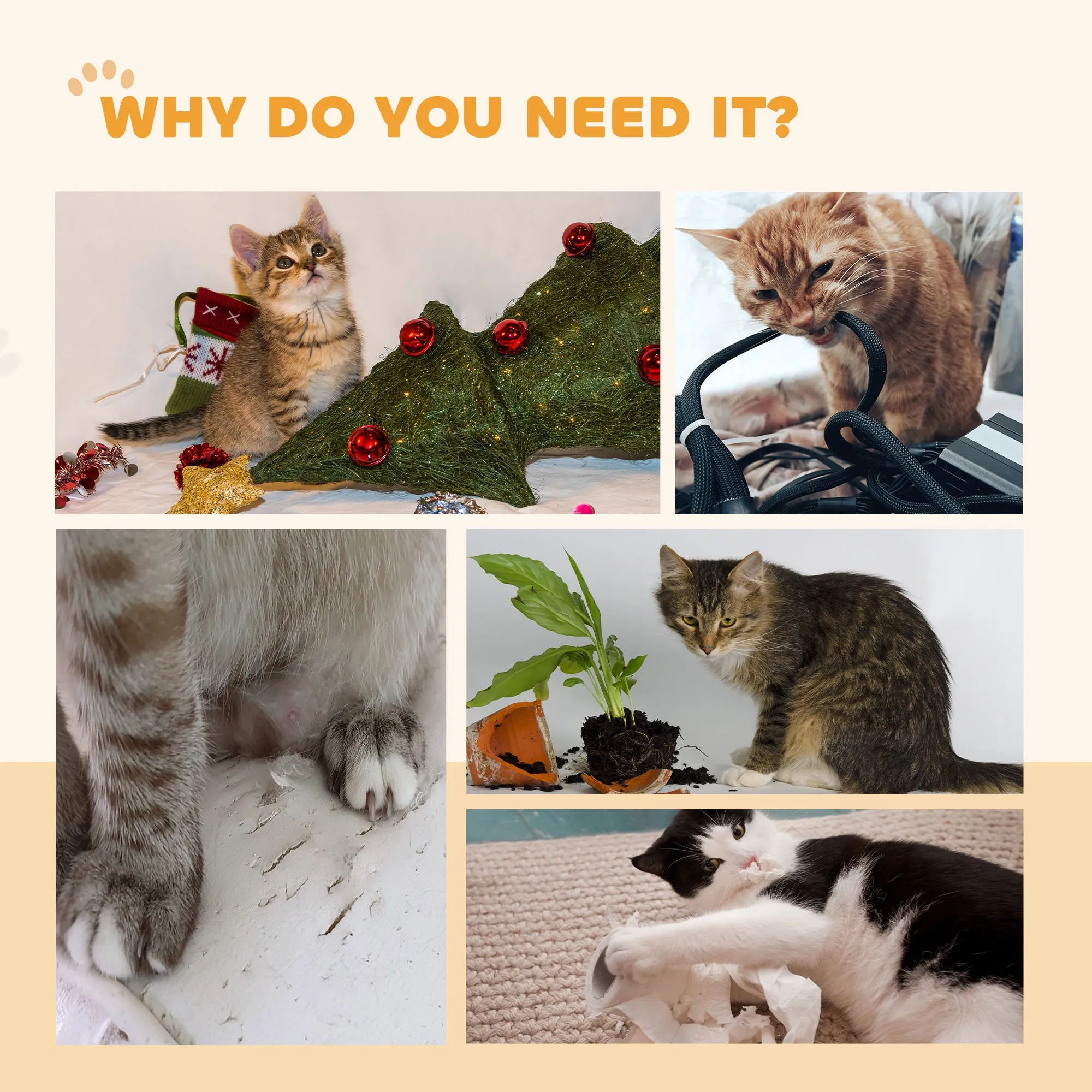 PawHut Cat Wheel with Brake, Scratching Pads for Health