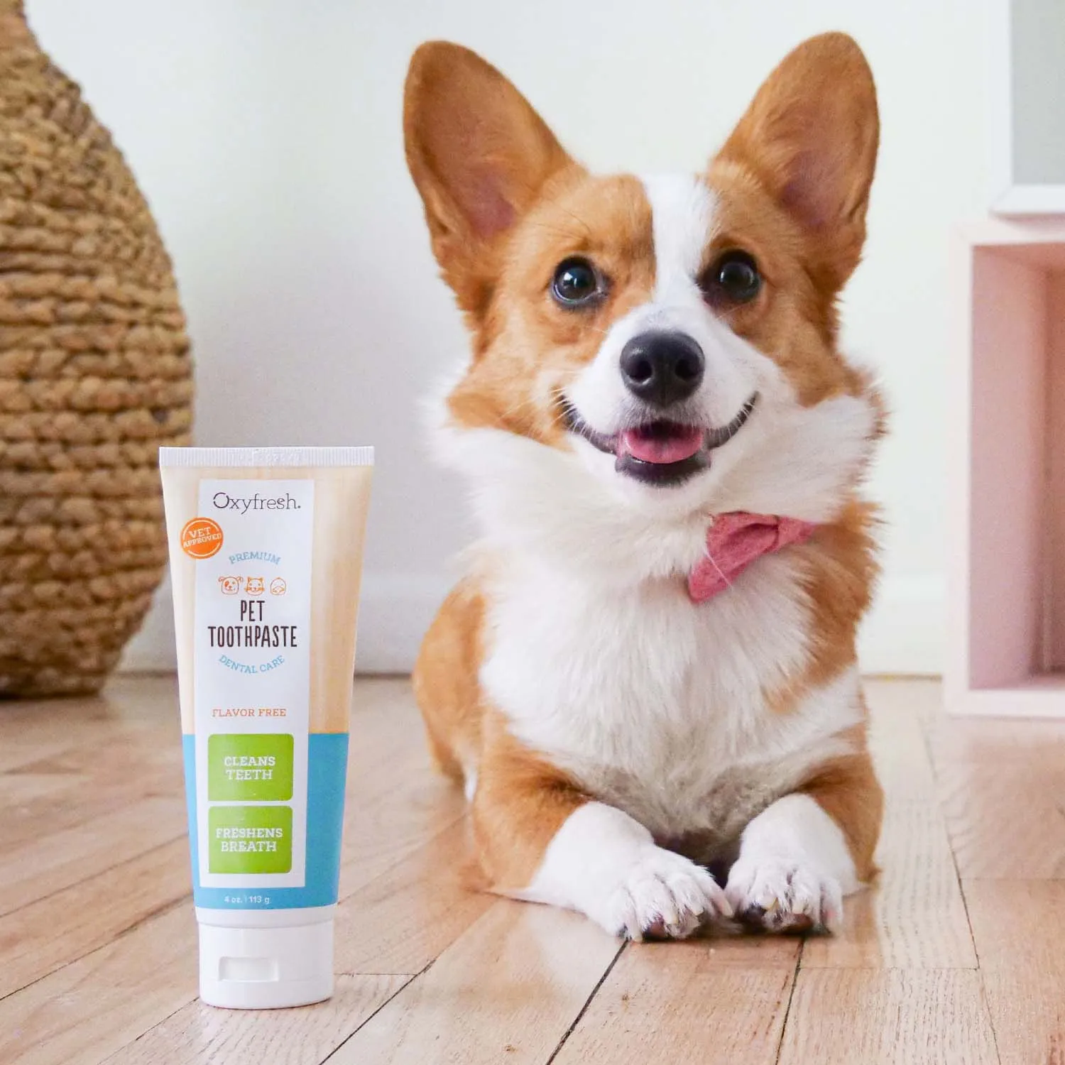 Pet Plaque Fighting Toothpaste & Brush