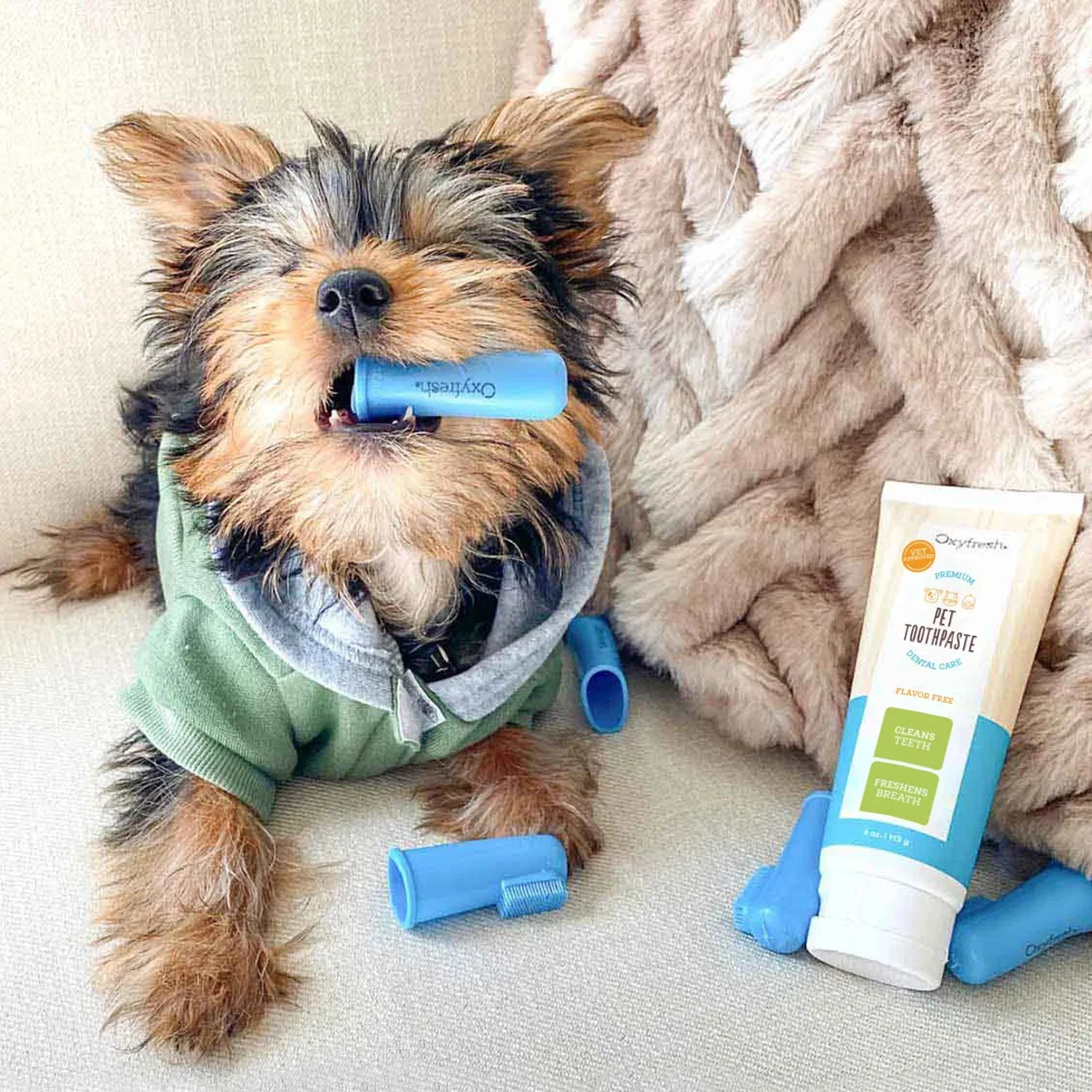 Pet Plaque Fighting Toothpaste & Brush