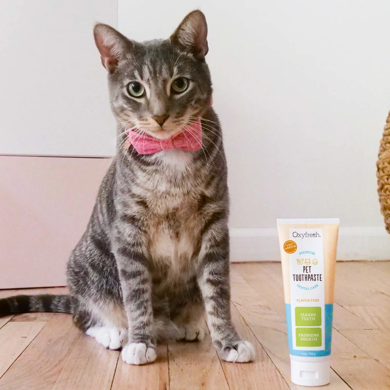 Pet Plaque Fighting Toothpaste & Brush
