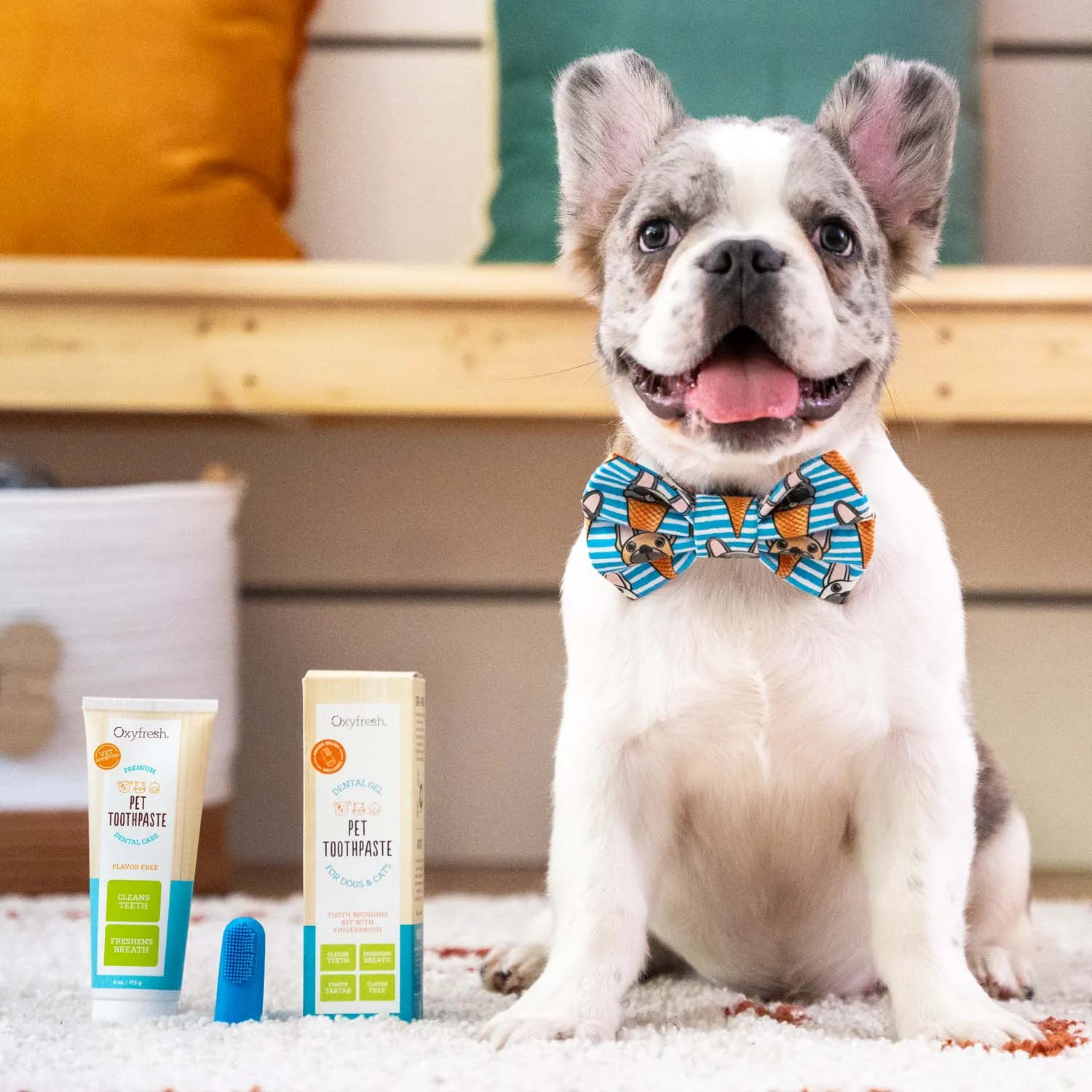Pet Plaque Fighting Toothpaste & Brush
