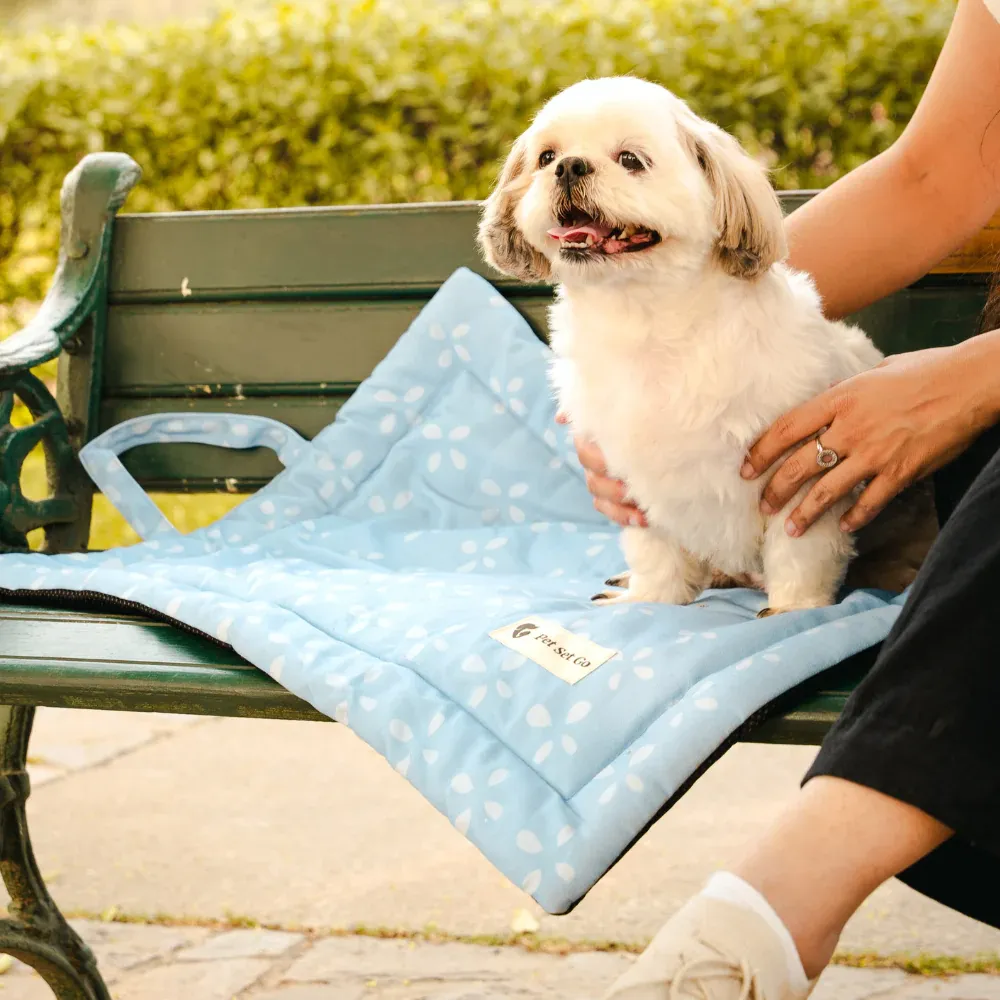 Pet Set Go Sky Bloom Mat for Dogs (Sky Blue)