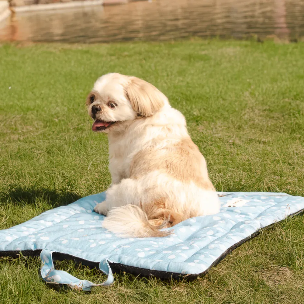 Pet Set Go Sky Bloom Mat for Dogs (Sky Blue)