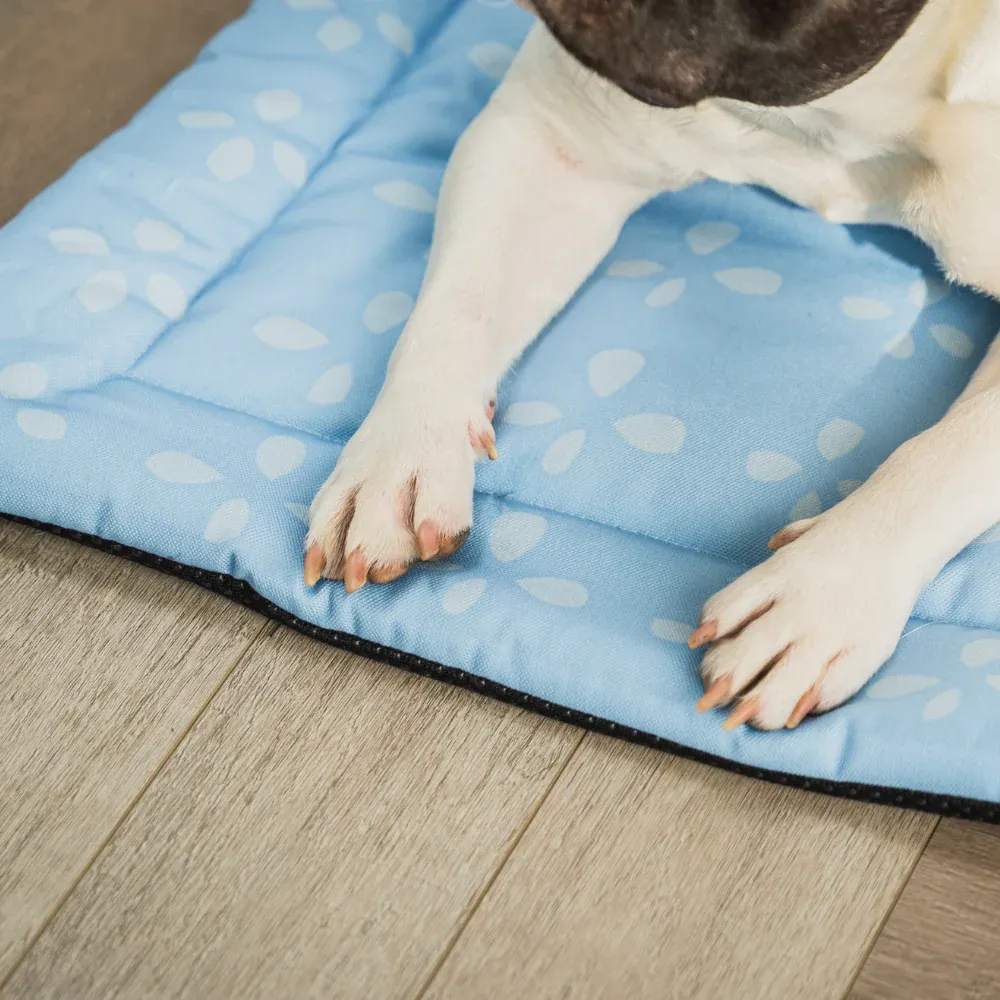 Pet Set Go Sky Bloom Mat for Dogs (Sky Blue)